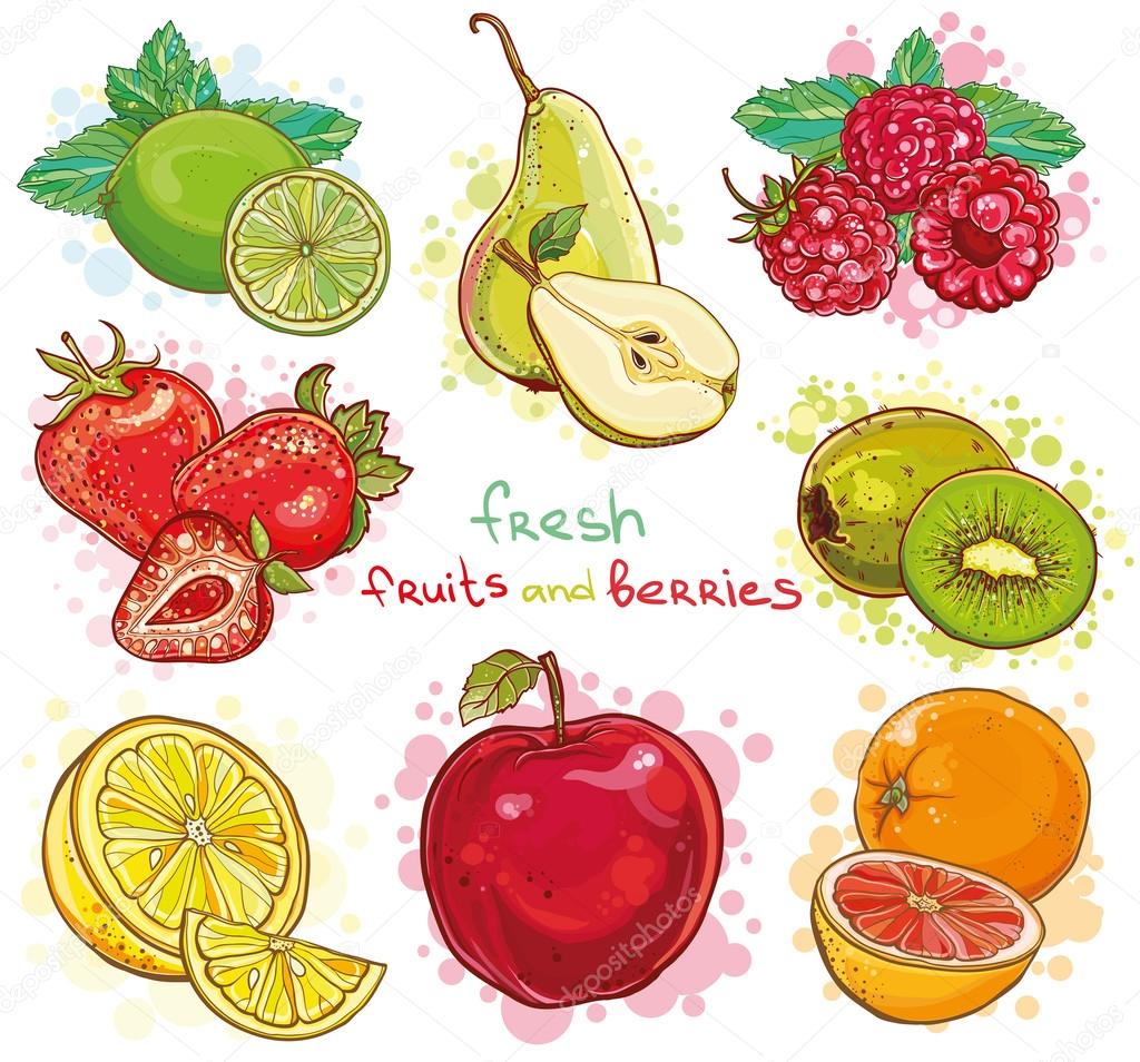 Vector set with fresh fruits and berries