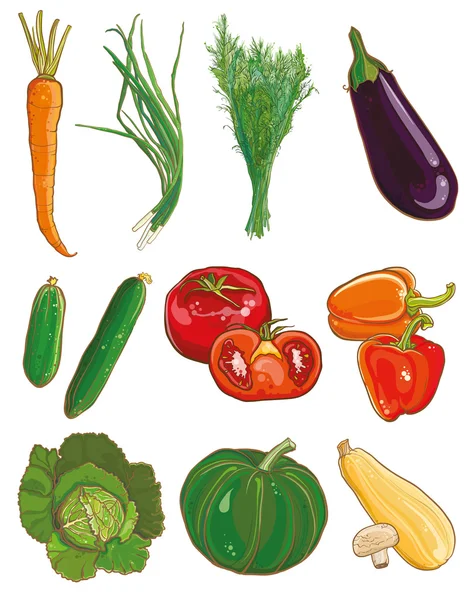 矢量蔬菜集。食品配料 — 图库矢量图片