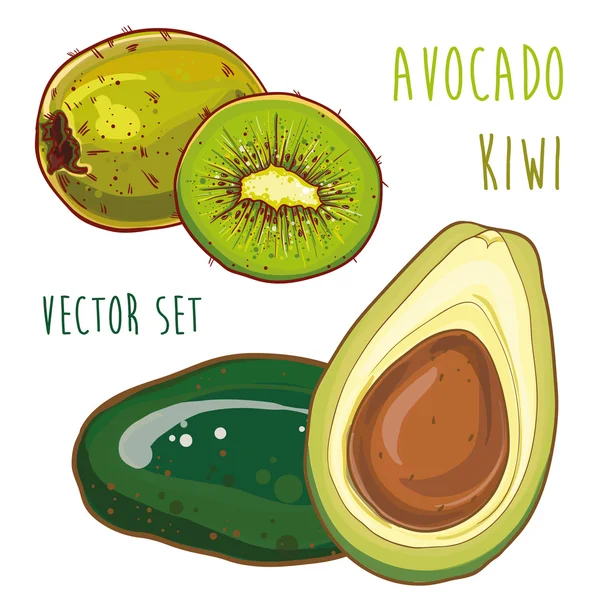 Set vettore con avocado e kiwi — Vettoriale Stock