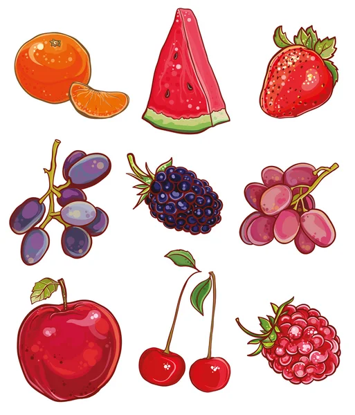 Vector set med frukter och bär: rött, lila och orange — Stock vektor