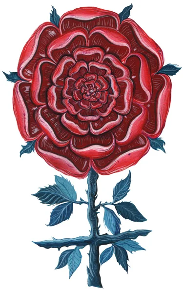 Mandala Rose. Rosa cruz . — Fotografia de Stock
