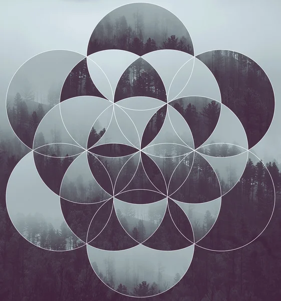 Collage with the forest and flower of life — Stock Photo, Image