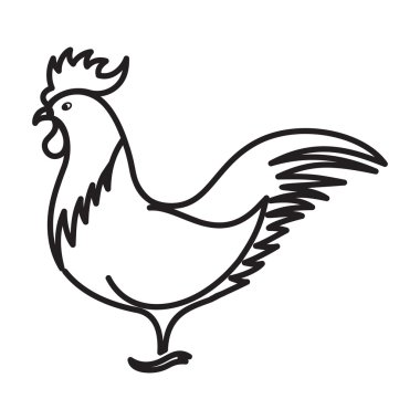 Horoz vektör çizim