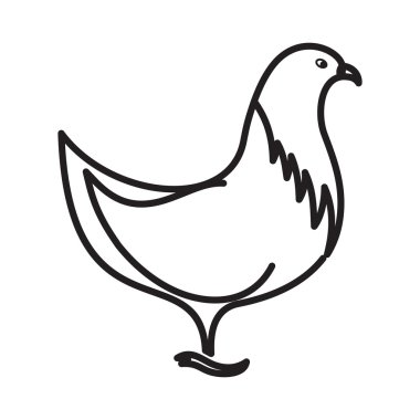 tavuk vektör çizim