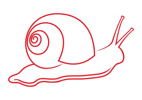 หอยทาก — ภาพเวกเตอร์สต็อก