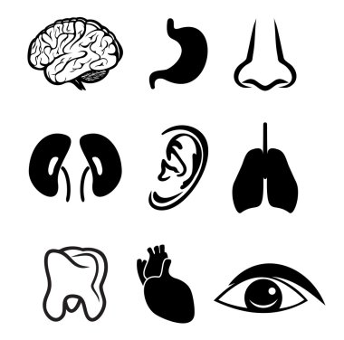 organları Icon set