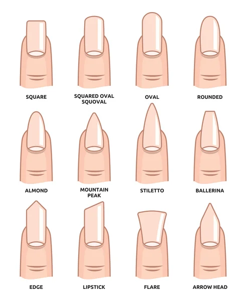 Diferentes formas de unhas - Fingernails moda Tendências — Vetor de Stock