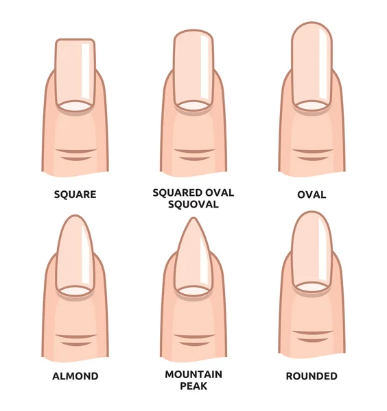Different nail shapes - Fingernails fashion Trends — Stock Vector