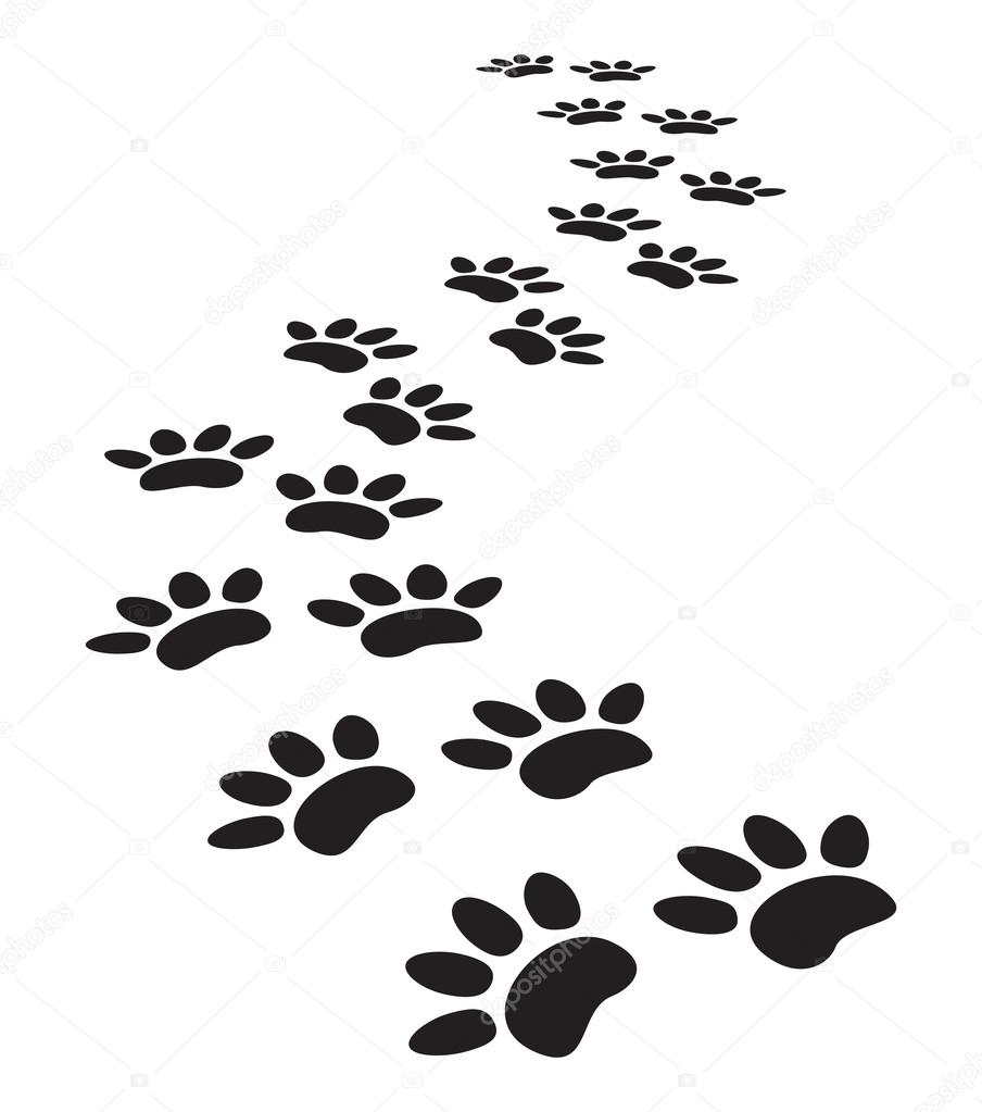 animal paw prints