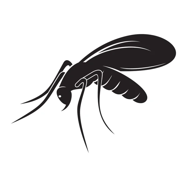 Illustrations vectorielles du moustique — Image vectorielle