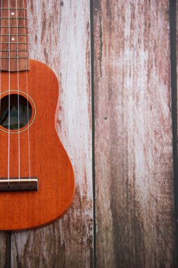 müzik enstrümanı gitarı