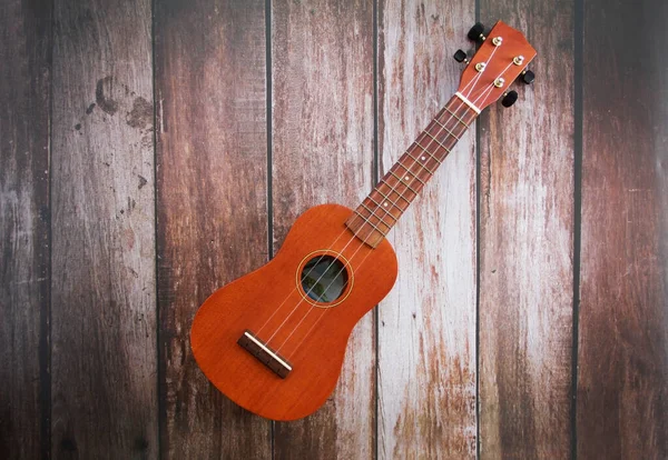 musical instrument guitar with strings