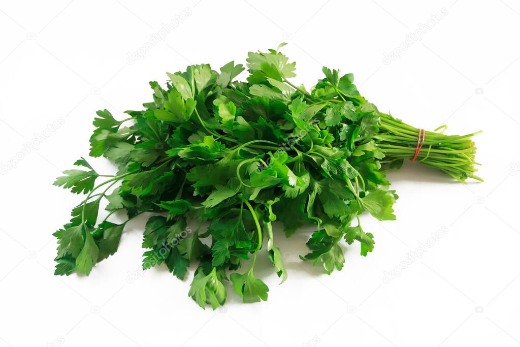  bunch of natural green parsley with leaves