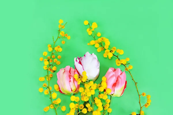 Una Rama Mimosa Amarilla Tulipanes Rosados Sobre Fondo Verde — Foto de Stock