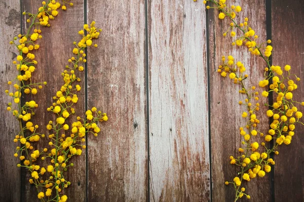 Ramas Mimosa Con Flores Amarillas Sobre Fondo Madera — Foto de Stock