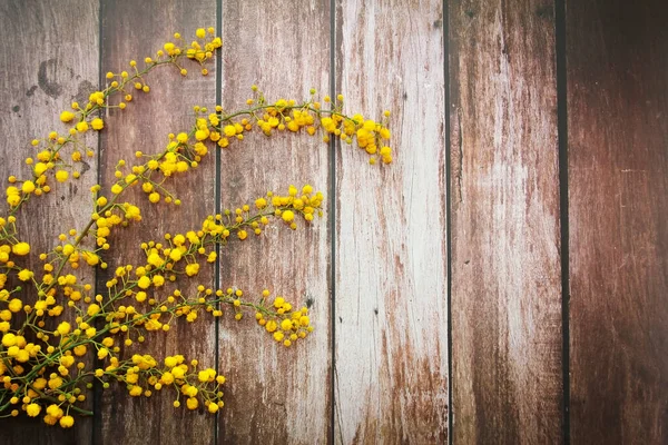Ramas Mimosa Con Flores Amarillas Sobre Fondo Madera — Foto de Stock