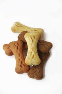 Kemik şeklinde kuru köpek maması.