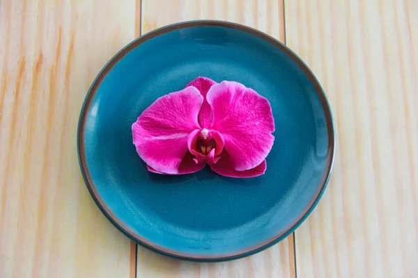 Orchid Flowers Petals Decorative Plate — Foto de Stock