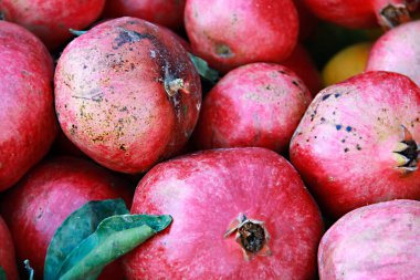 Çatlaklarla bezenmiş kırmızı yakutlar.