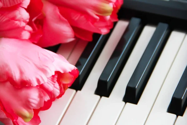 Fehér Fekete Zongora Billentyűk Rózsaszín Virágok — Stock Fotó