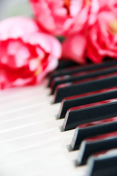 Λευκά Και Μαύρα Πλήκτρα Πιάνου Και Ροζ Λουλούδια — Φωτογραφία Αρχείου
