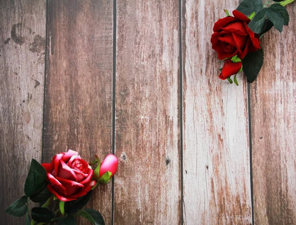 Vörös Rózsa Virágok Egy Háttér — Stock Fotó