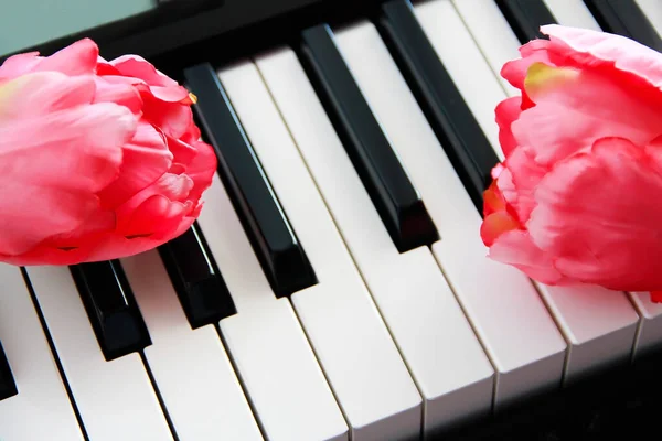 White Black Piano Keys Pink Flowers Royalty Free Stock Photos