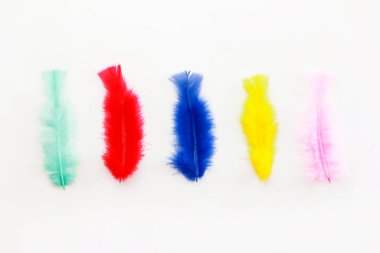 Renkli yumuşak tüylü kuş tüyleri