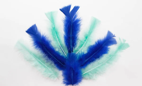 Colorful Soft Fluffy Bird Feathers — Stock Photo, Image