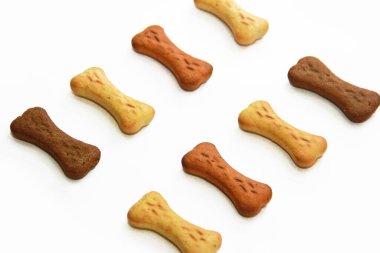 Kemiklerdeki kuru köpek maması.