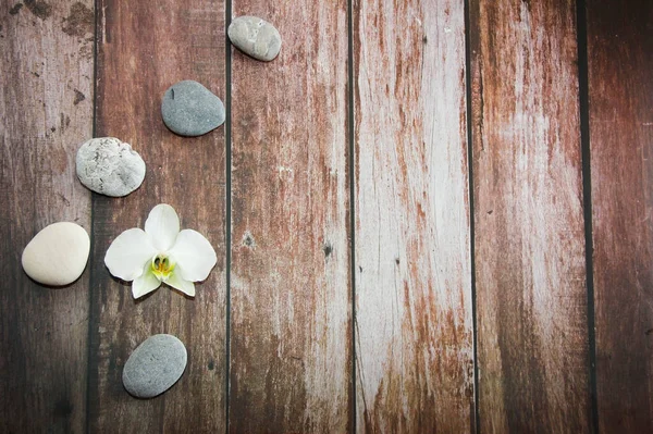灰色の装飾石の天然蘭の花 — ストック写真