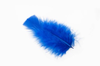 yumuşak tüylü kuş tüyleri beyaz arkaplanda