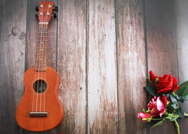 müzik enstrümanı gitarı