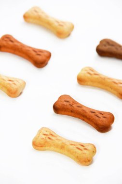 Kemik şeklinde kuru köpek maması.