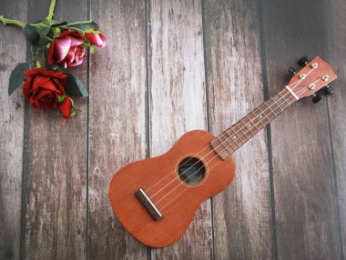 müzik enstrümanı gitarı