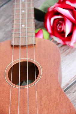 müzik enstrümanı gitarı