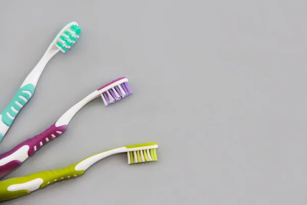Multi Colored Toothbrushes Brushing Teeth — Stock Photo, Image