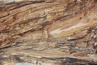 Damarları ve çatlakları olan kahverengi ahşap dokusu