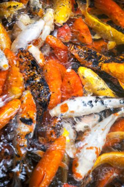 Hareket Bulanıklığı, Havaalanı iç insan siluetleri