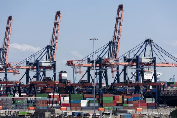 Containerterminal im Hafen — Stockfoto