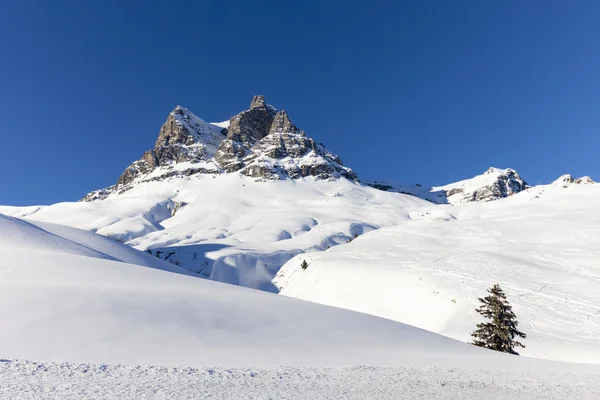 Alpes autrichiennes, chaîne de montagnes enneigées, hiver — Photo