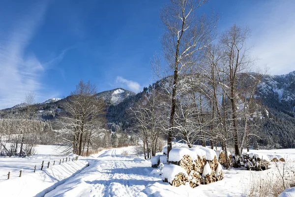 Route alpine dans les paysages d'hiver — Photo