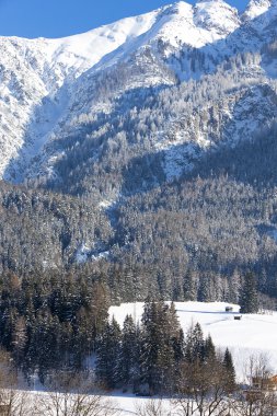 Avusturya Alpleri'nde kış sahne