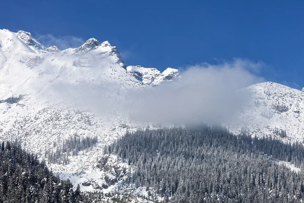 Зимний пейзаж Альп — стоковое фото