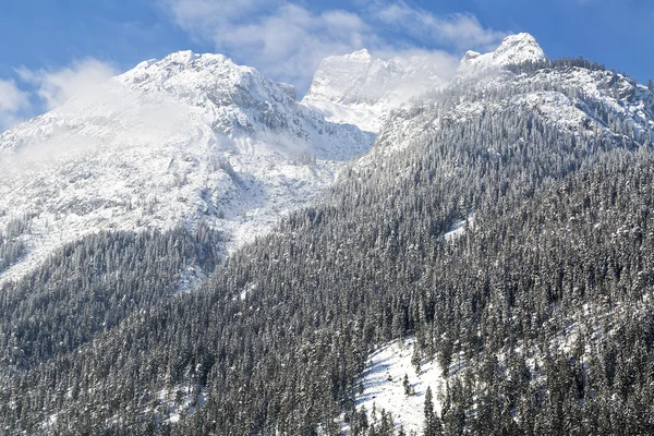 Alpi in Austria, scenario invernale — Foto Stock