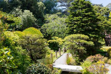Şehir parkındaki ağaçların ve çalıların güzel kompozisyonu