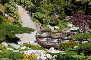 Şehir parkındaki ağaçların ve çalıların güzel kompozisyonu