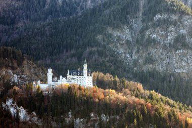 Castle Neuschwanstein Bavyera Alpleri'nde