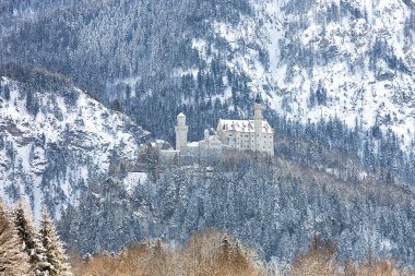 Castle Neuschwanstein Bavyera Alpleri'nde
