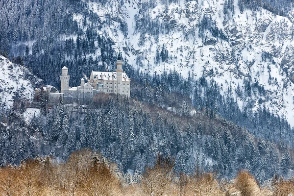 Castle Neuschwanstein Bavyera Alpleri'nde